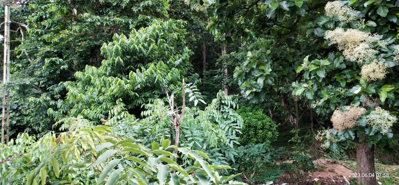 Floral Homestay Thekkady Eksteriør billede