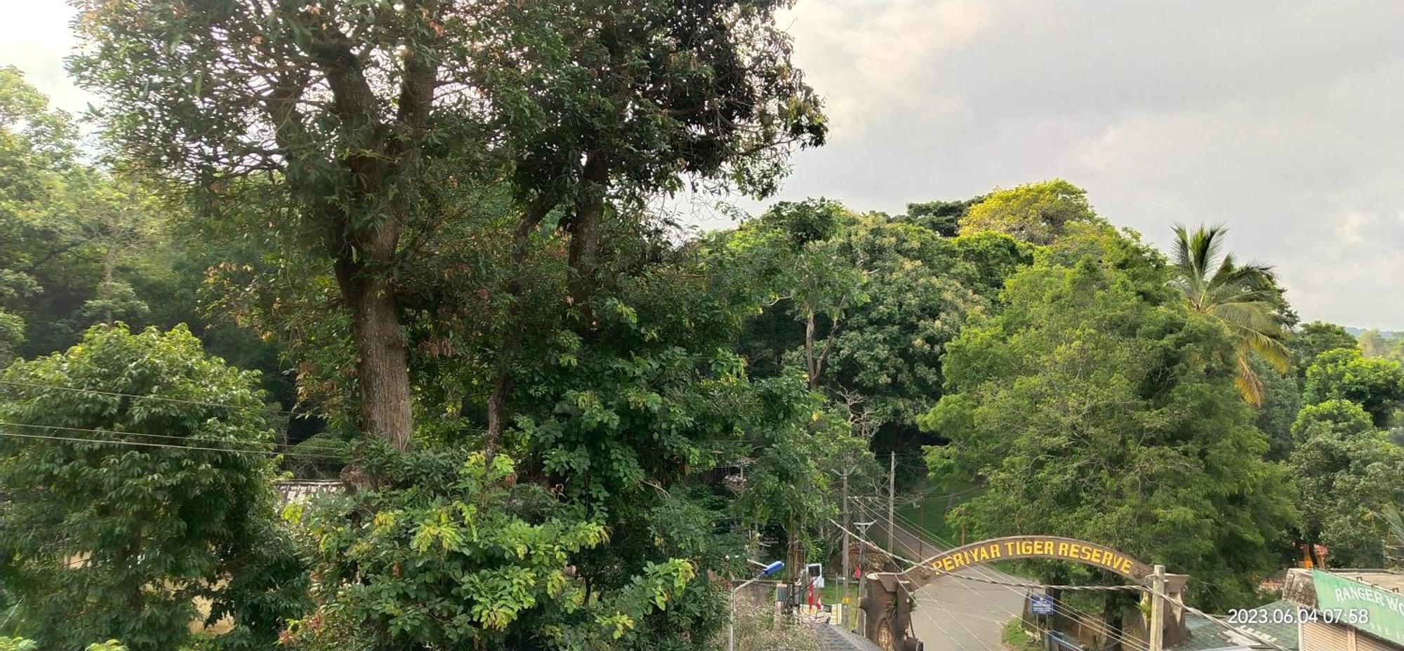 Floral Homestay Thekkady Eksteriør billede